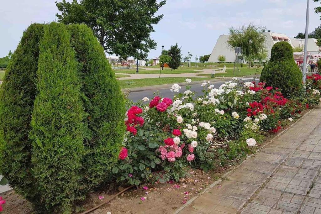Апартамент Ели Obzor Exterior photo